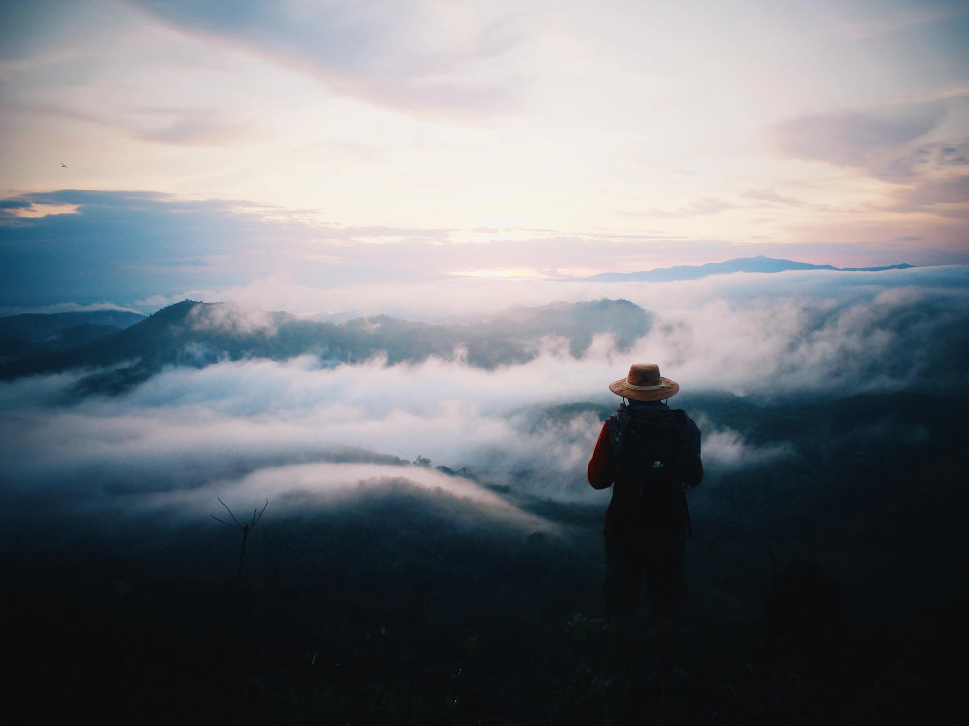 IMG-BLOG
