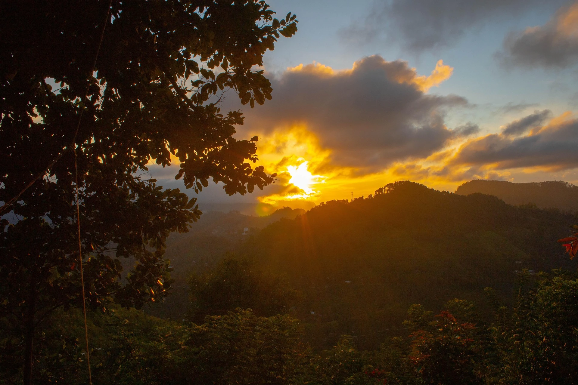 IMG-BLOG